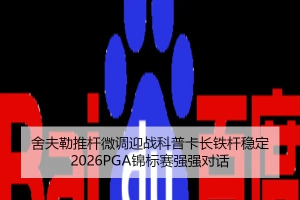 she-fu-lei-tui-gan-wei-diao-ying-zhan-ke-pu-ka-zhang-tie-gan-wen-ding-jin-biao-sai-qiang-qiang-dui-hua-2-325.jpg